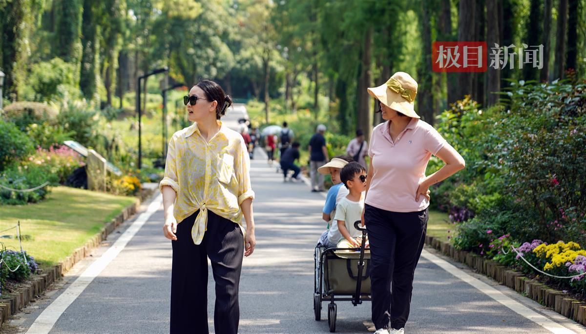 广东麻将推倒胡在线
